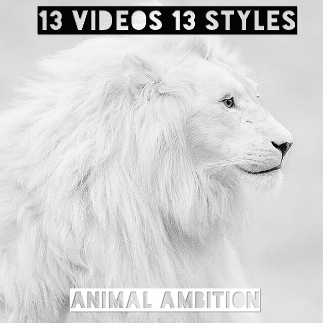 Eif RIvera: 13 клипов и 13 стилей для Animal Ambition