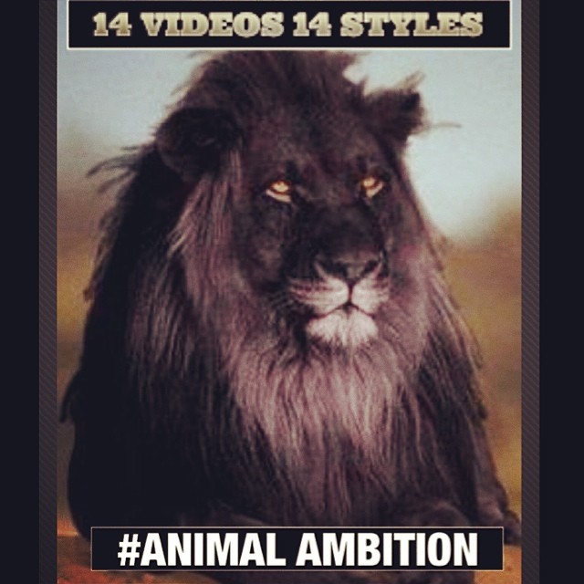 50 Cent: 14 клипов и 14 стилей Animal Ambition